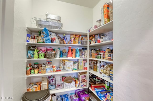 view of pantry