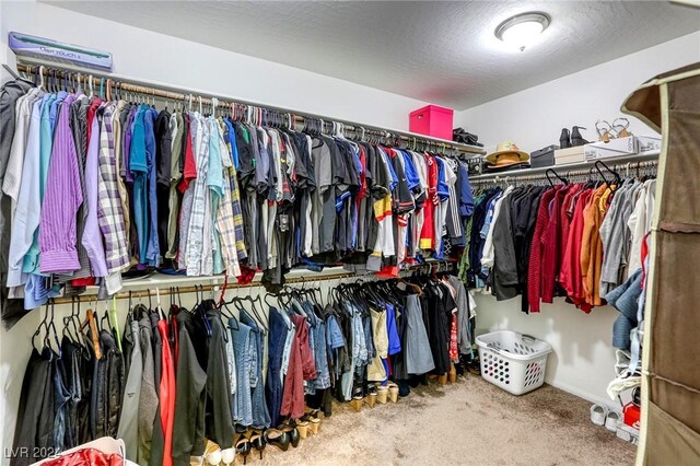 spacious closet featuring carpet