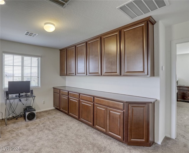 interior space featuring light carpet and a textured ceiling