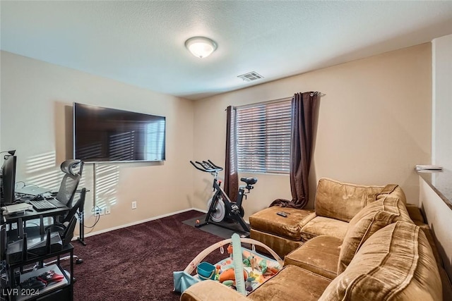 interior space featuring carpet and a textured ceiling