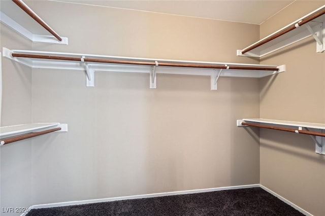 spacious closet featuring carpet