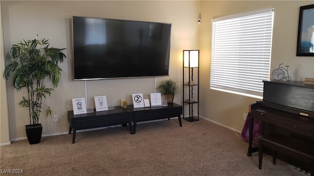 miscellaneous room featuring carpet flooring