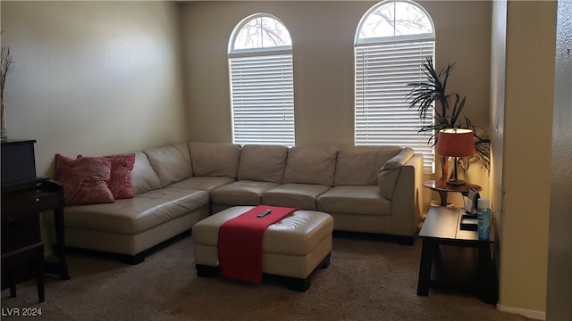 living room with dark colored carpet