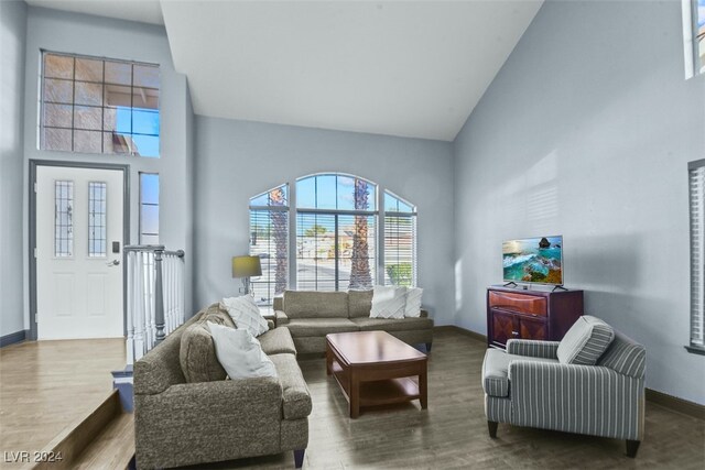 living room with high vaulted ceiling and hardwood / wood-style flooring