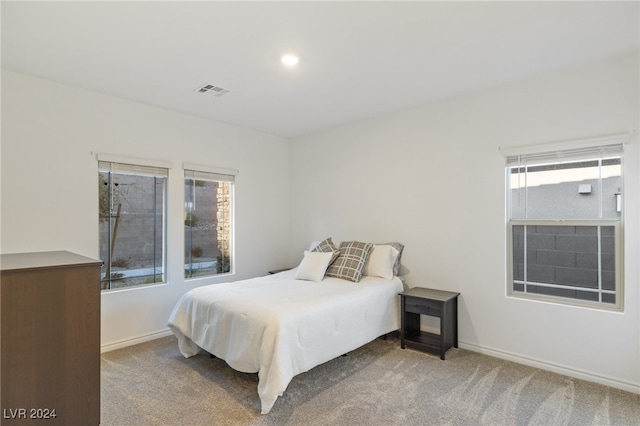 carpeted bedroom with multiple windows