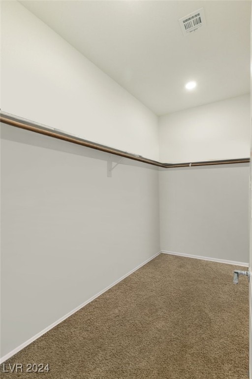 walk in closet with carpet