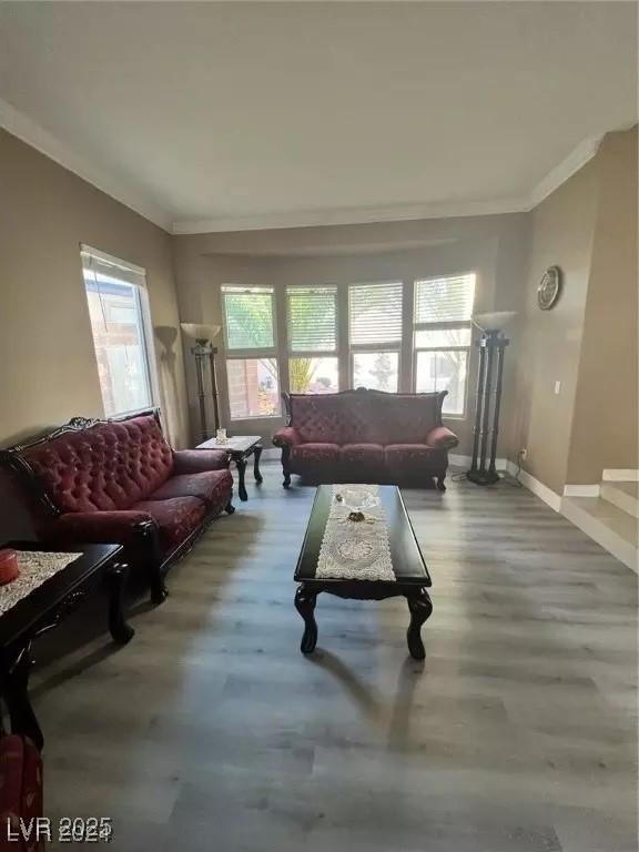 living room with crown molding and wood-type flooring