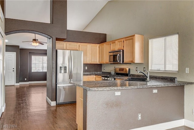 kitchen with arched walkways, appliances with stainless steel finishes, a peninsula, light brown cabinets, and a sink