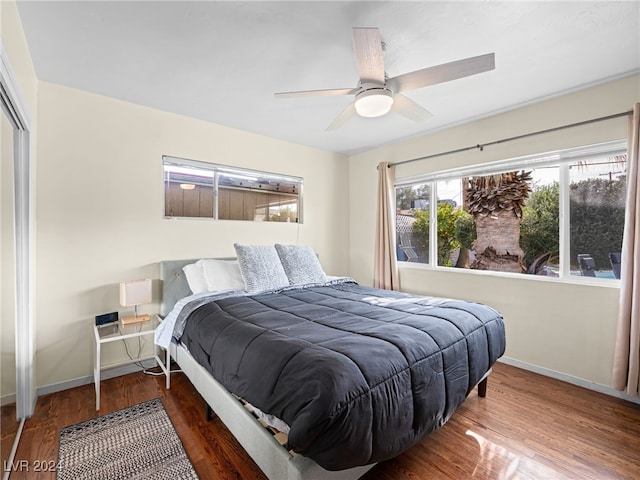 bedroom with ceiling fan and dark hardwood / wood-style floors