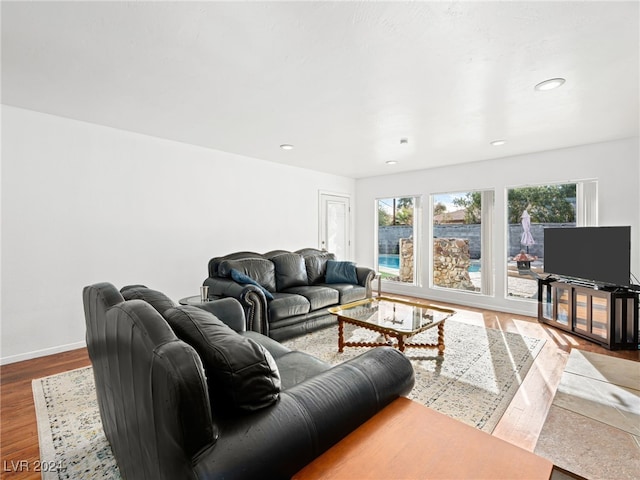 living room featuring hardwood / wood-style flooring