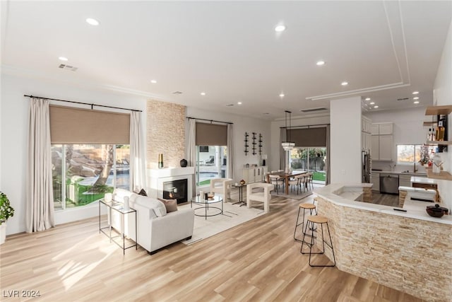 living room with light hardwood / wood-style floors, plenty of natural light, and a fireplace