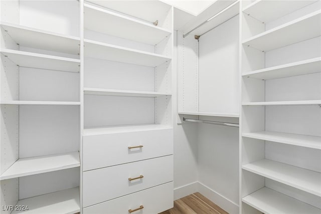 spacious closet featuring wood-type flooring