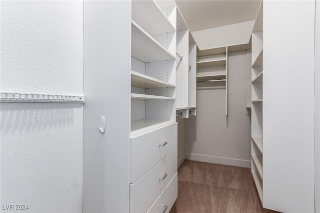 walk in closet with dark carpet