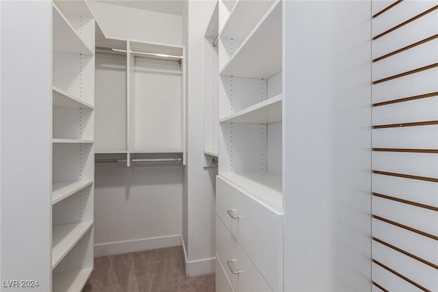 spacious closet with light colored carpet