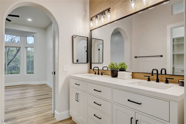 bathroom with hardwood / wood-style floors and vanity