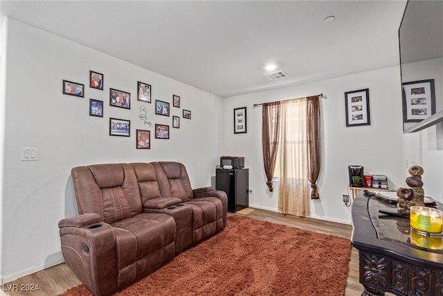 living room featuring hardwood / wood-style floors