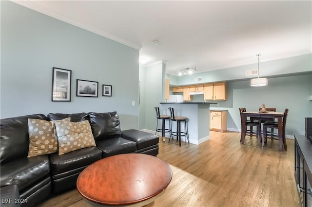 living room featuring light hardwood / wood-style floors and crown molding