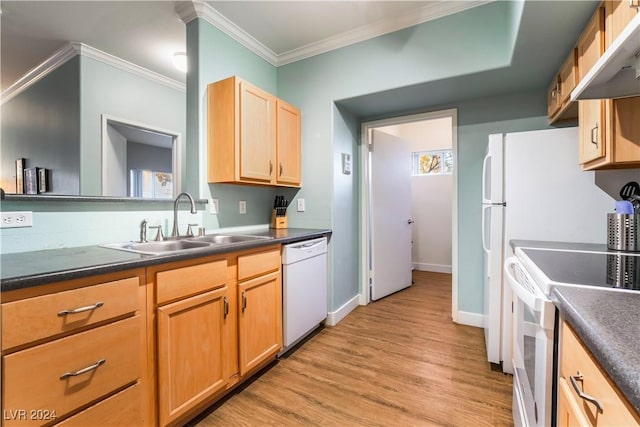 kitchen featuring dishwasher, sink, ornamental molding, range, and extractor fan