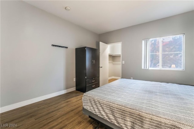 bedroom with a walk in closet, a closet, and dark wood-type flooring