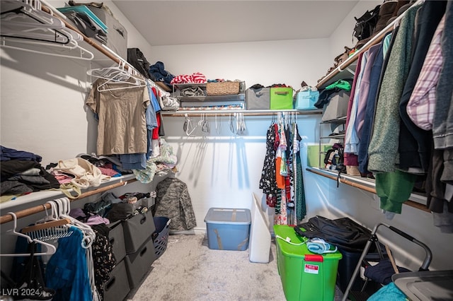 spacious closet with carpet floors