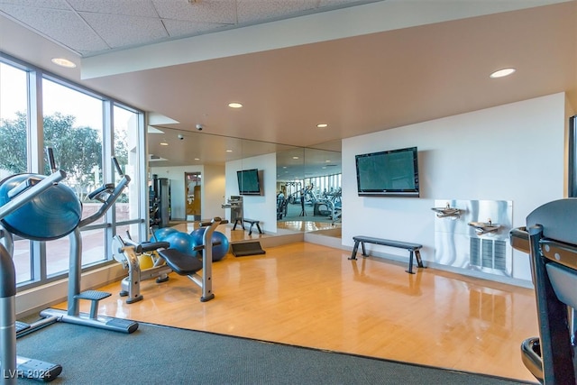 gym with wood-type flooring and a paneled ceiling