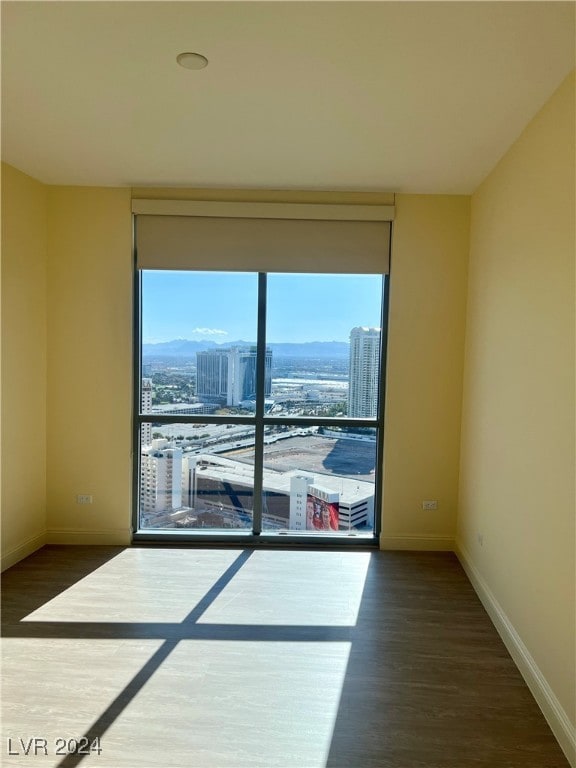 empty room featuring a healthy amount of sunlight and dark hardwood / wood-style flooring