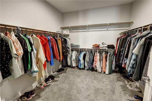 spacious closet featuring carpet floors