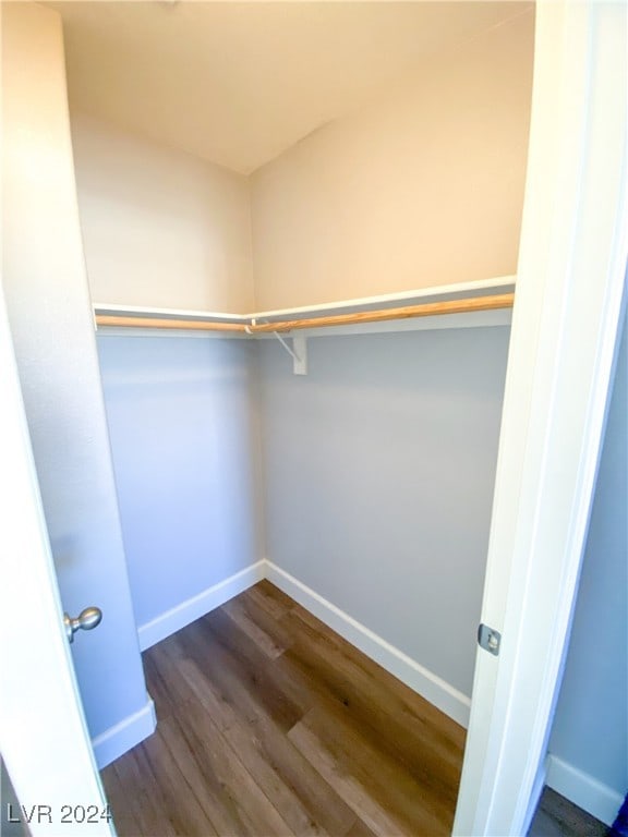 spacious closet with dark wood-type flooring