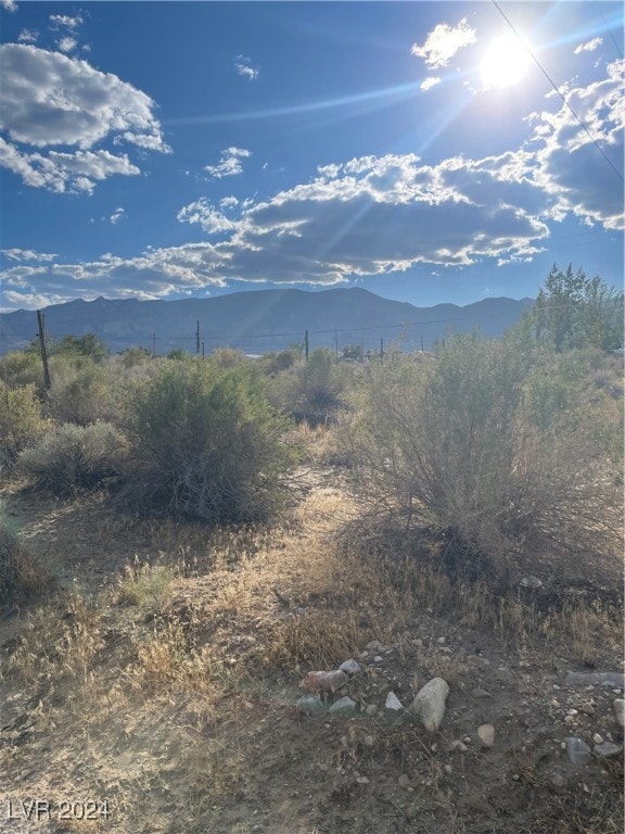 255 S Baker Ave, NV, 89311 land for sale