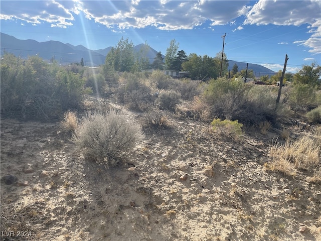 Listing photo 2 for 255 S Baker Ave, NV 89311