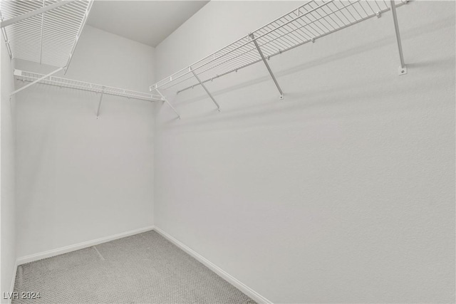 spacious closet featuring carpet floors