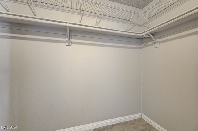 spacious closet featuring wood-type flooring