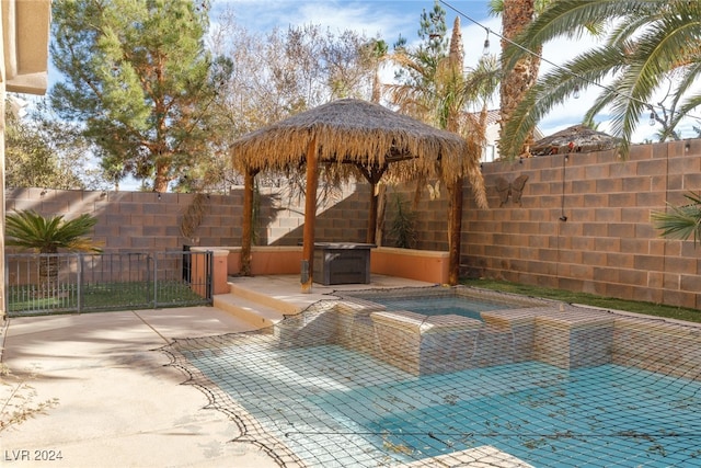 view of swimming pool with a patio area