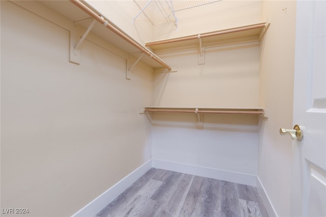 spacious closet featuring hardwood / wood-style flooring