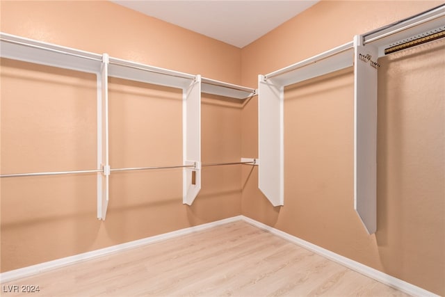 walk in closet with hardwood / wood-style flooring