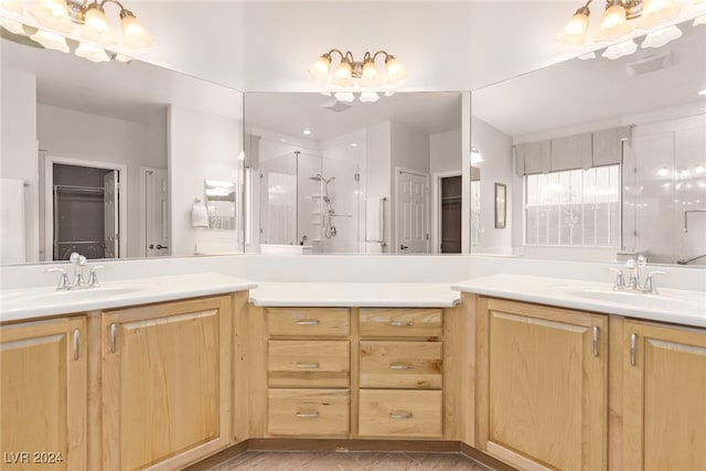 bathroom with vanity and walk in shower