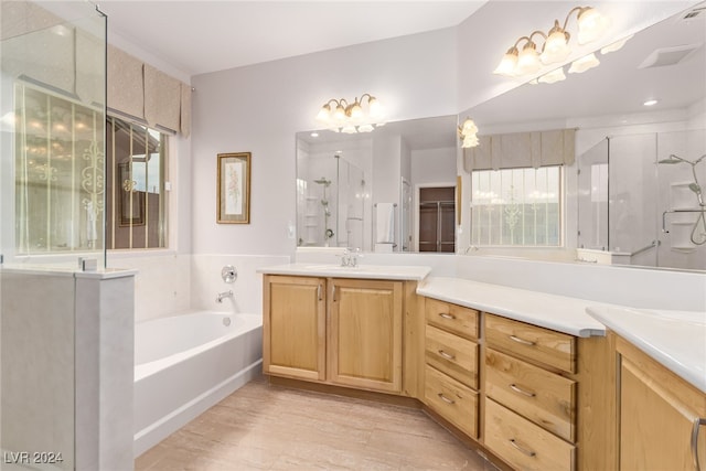 bathroom with separate shower and tub and vanity