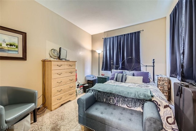 bedroom with carpet floors