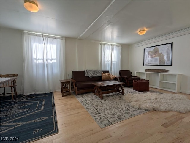 living area featuring plenty of natural light and hardwood / wood-style floors