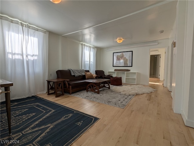 living room featuring hardwood / wood-style floors