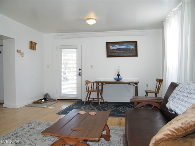 living room with wood-type flooring