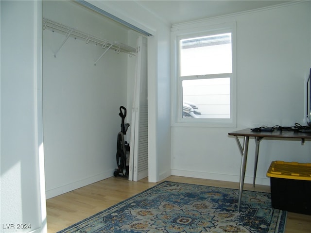 interior space featuring light hardwood / wood-style floors