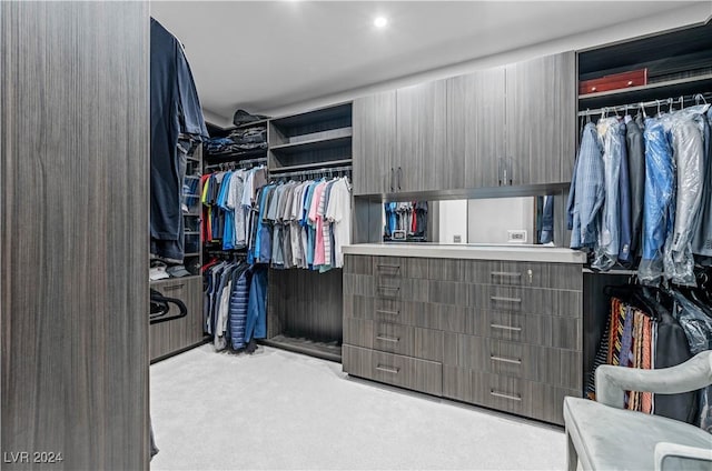 spacious closet featuring light colored carpet