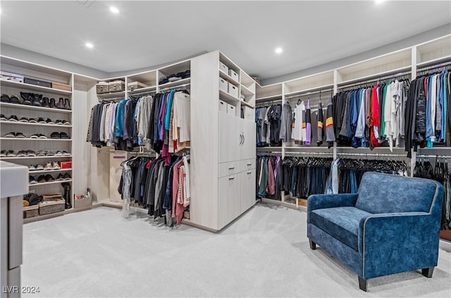 spacious closet with carpet