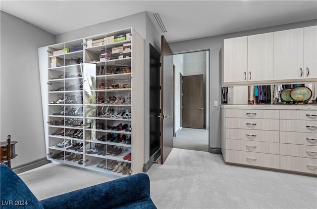 spacious closet with light colored carpet