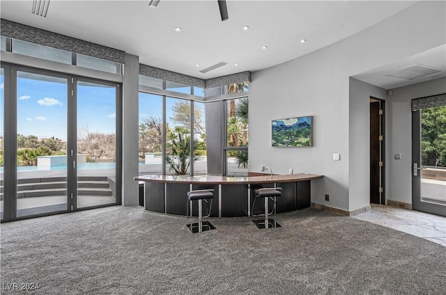 interior space with a wealth of natural light