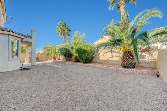 view of yard featuring a patio