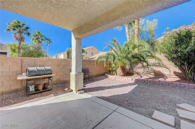 view of patio / terrace featuring grilling area