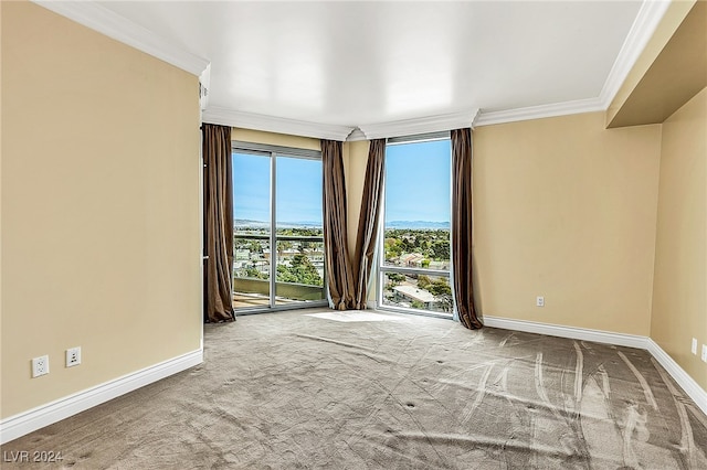 unfurnished room featuring carpet flooring and crown molding