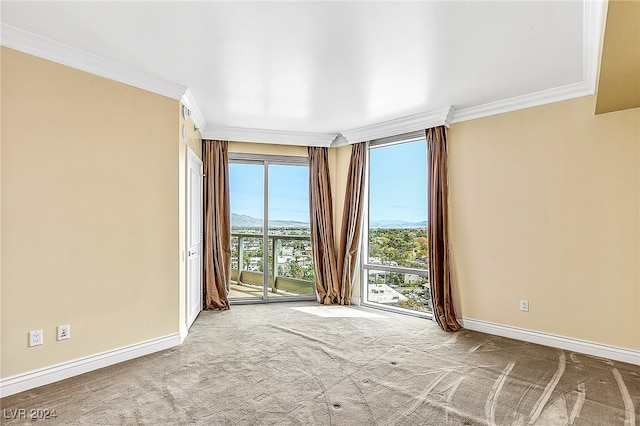 carpeted spare room featuring a mountain view and ornamental molding